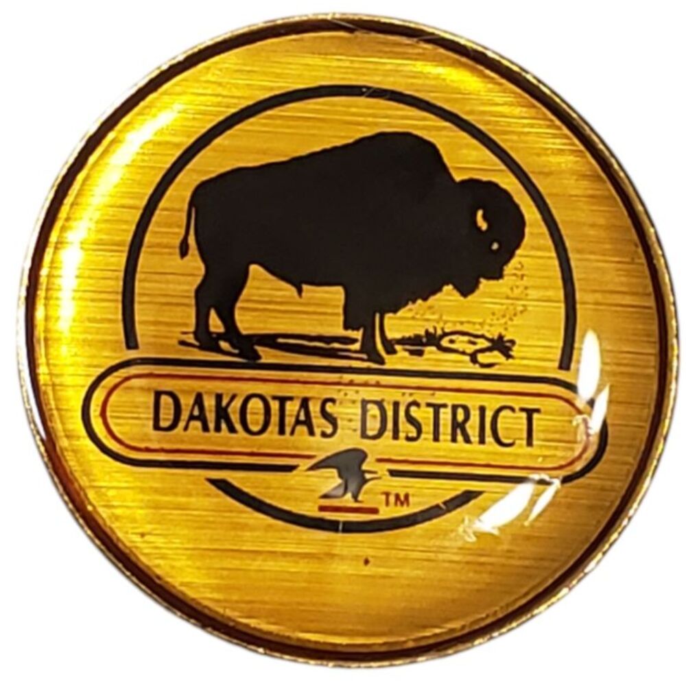 Vintage USPS Dakotas District Bison Buffalo Lapel Hat Pin Postal Service Pin 1"